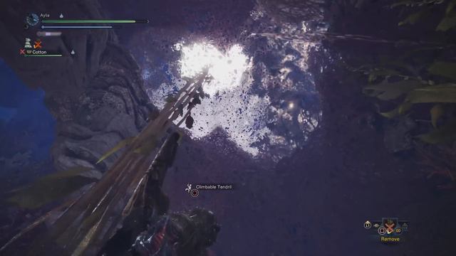 GORGEOUS TENTACLE DRAGON - Pro and Noob VS Monster Hunter World Iceborne! #mhw #iceborne #proandnoo смотреть онлайн