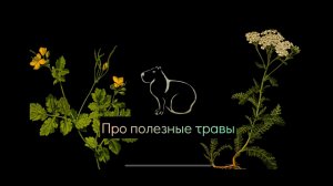 Про полезные травы