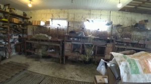 Пришла в гости. Чем занимаются люди в деревне?