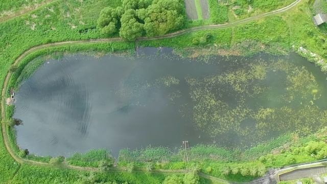 Малые озера Брянской области смотреть онлайн