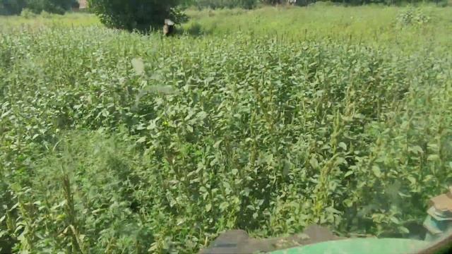 Дискование трактором т-40, трава по пояс смотреть онлайн