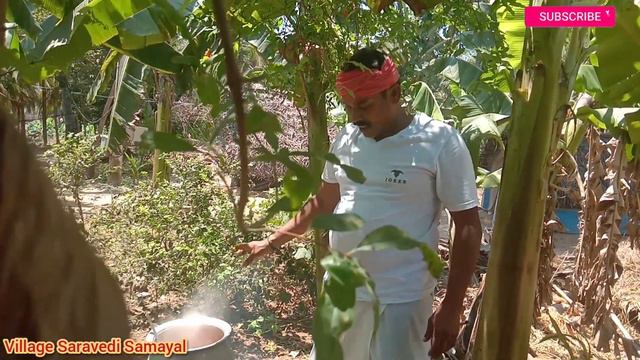 பிறந்தநாள் கொண்டாட்டம்/தக்காளி சாதம் அன்னதானம்/#tomatorice/#saravedisamayal смотреть онлайн