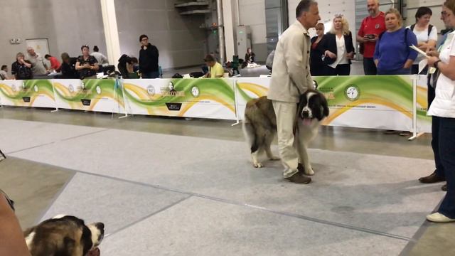 СКАЗОЧНОГО ПОЛКА ЗУБР