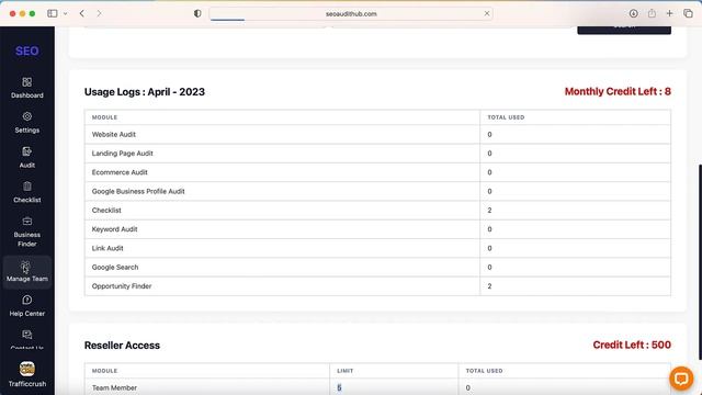SEOAuditHub-Team Member Access смотреть онлайн