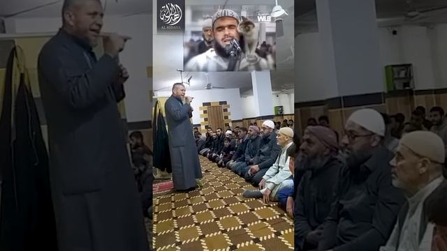 Кошка запрыгнула на плечо имама в Алжире смотреть онлайн