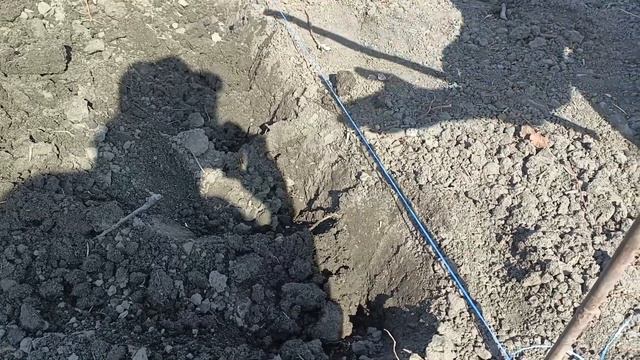 Посадка картофеля весной. Чем обработать, удобрение при посадке картошки. Высадка картофеля в апрел смотреть онлайн