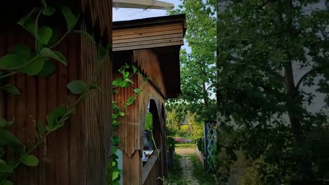 Маленький Чернуха идёт по стопам папаши умный котёнок 😻 смотреть онлайн