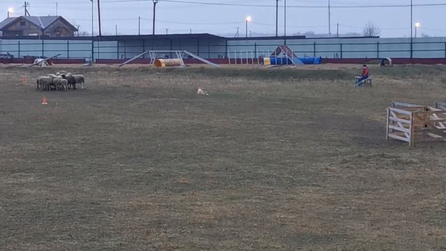 Андвол Сансара, 05.11.2021, 2-е место, 90 баллов, часть 1 смотреть онлайн