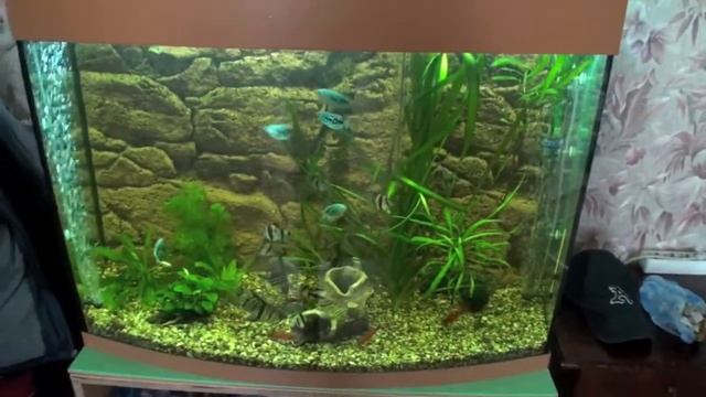 Аква 200л смотреть онлайн