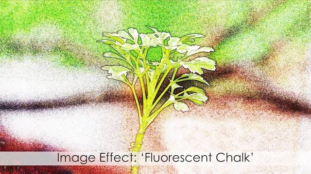 Adobe Photoshop, Image Effects - video 12 смотреть онлайн