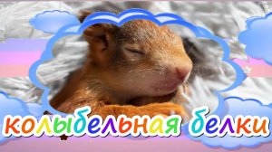 Колыбельная бельчатам. Слова Ведрусы, музыка и исполнение - студия «НеОн»