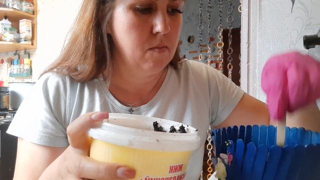 Как вырастить фикус БЕНДЖАМИНА,в домашних условиях.29.05.2020 смотреть онлайн
