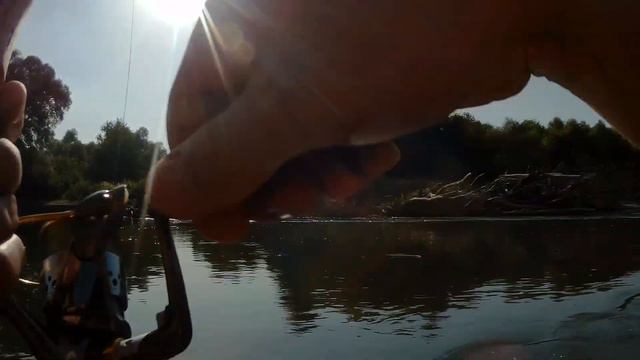 #Жерех#Лаба#Адыгея#сентябрь#рыбалка смотреть онлайн