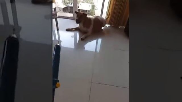 How Omo scare soldering tool. смотреть онлайн