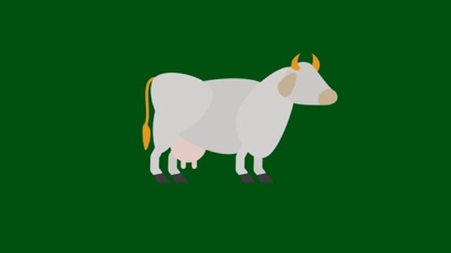 Animated Cow Green Screen Adobe After Effects смотреть онлайн