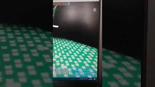 симулятор пчеловода в роблокс купил gummy bee за 2500 желе??? смотреть онлайн