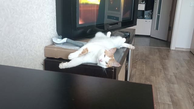 Кузя смотреть онлайн