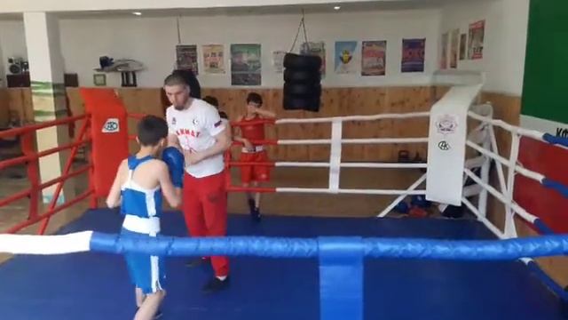 РАБОТА НА ЛАПАХ МУХАММАД-САЛАХ МУГАЕВ WORK ON THE PAKES OF BOXING смотреть онлайн