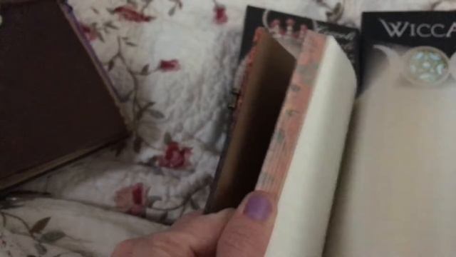 Tarot Traveler's Notebook/Wallet plus two new oracle decks! смотреть онлайн