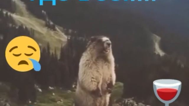 ГДЕ ВСЕ?!!! БУХНУТЬ ХОЧУ!!! смотреть онлайн