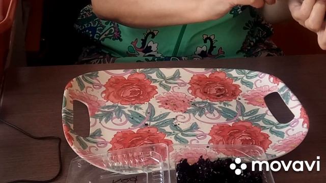 Первая пикировка сеянцев Колеуса. смотреть онлайн