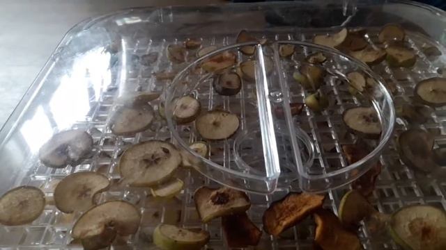 С днём знаний! Первый осенний денёк. смотреть онлайн