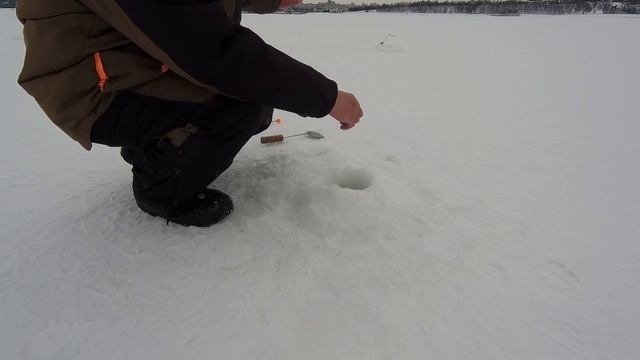 ЛОВЛЯ БЕРША НА ТЮЛЬКУ | ВЫСТАВИЛ ПОСТАВУШКИ НА БЕРША