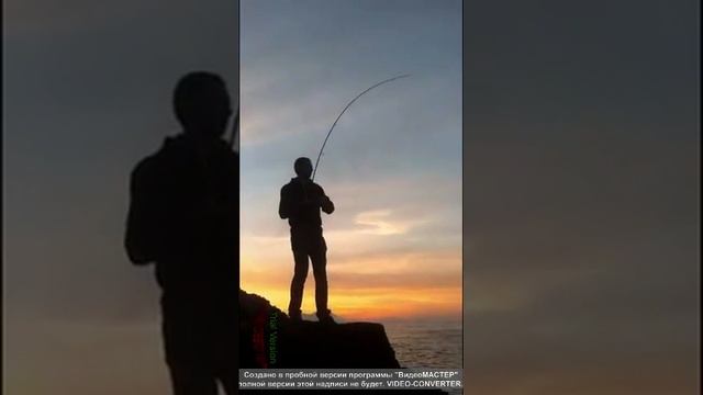 Рыбалка в Черногории с берега на спиннинг (Caшa профи в этом деле) смотреть онлайн