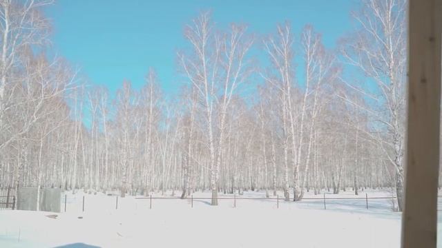 Обзор дома в березовой роще из Ка-Панели 110кв.м с гаражем 28.04.2021г. смотреть онлайн