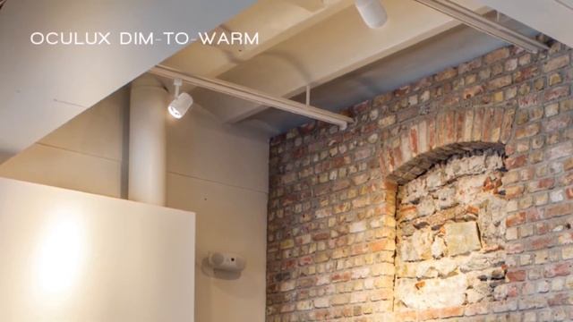 WAC TRACK LIGHTING Overview 2020 смотреть онлайн