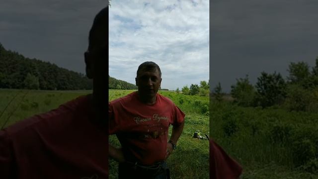 Покос 20 соток на скорость полностью, ответы на вопросы