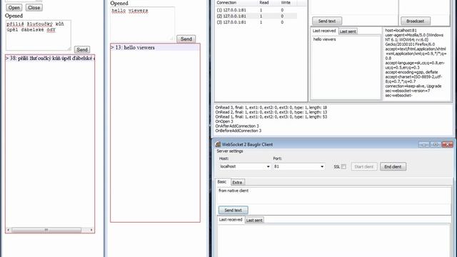 Bauglir WebSocket 2 - demo (1/4).avi смотреть онлайн