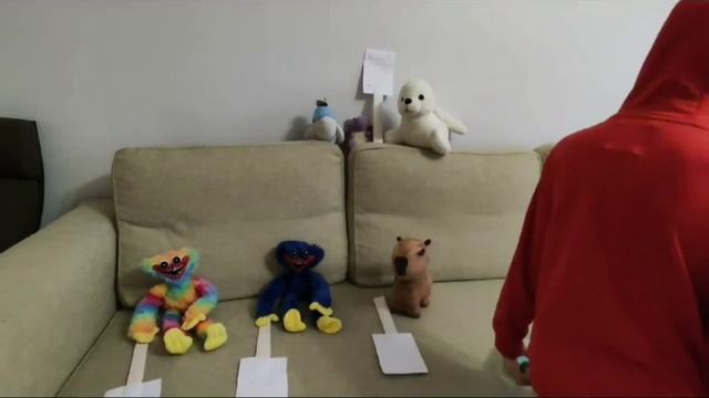 Капибара и судьи смотреть онлайн