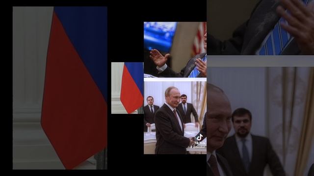 голубь мира смотреть онлайн