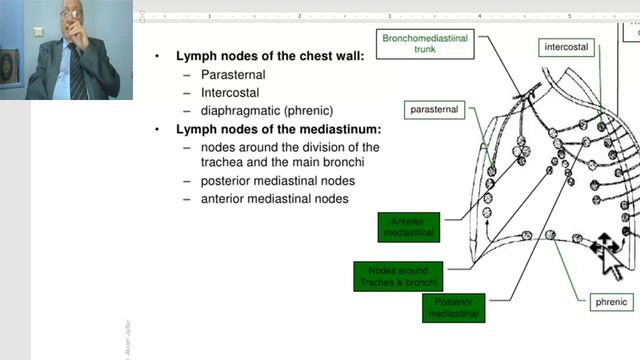 Anatomy of the thorax in Arabic 2023 (Lymphatic drainage of the thorax), by Dr. Wahdan смотреть онлайн