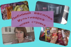 Любимый Василек новая стрижка Мультиварка