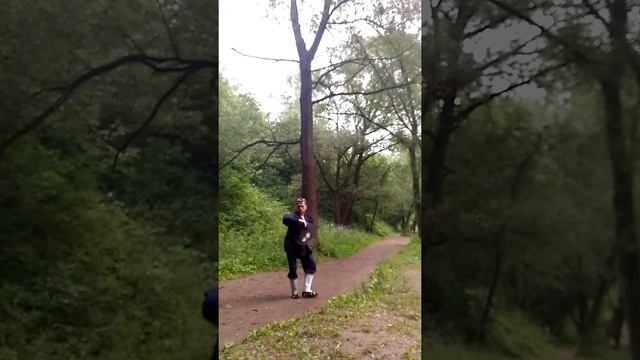 Тай цзи шань шу. Искусство владения веером Великого предела смотреть онлайн
