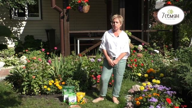 Стройка Эксперт