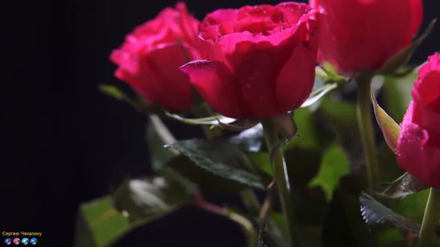 Безумно красивая музыка Сергея Чекалина! Музыка затрагивает душу и сердце.Мелодии 2023