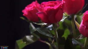 Безумно красивая музыка Сергея Чекалина! Музыка затрагивает душу и сердце.Мелодии 2023