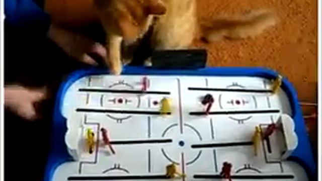 Трус не играет в хоккей! / The coward does not play hockey! смотреть онлайн