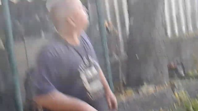 Как выглядит дерево гадаю полностью спилили смотреть онлайн