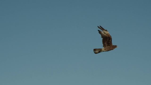 «Рецепт любви» - 3 серия - турецкий сериал - описание серии смотреть онлайн