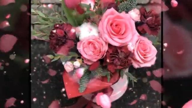 Милион милион алых роз песни ??? смотреть онлайн