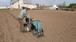 Сажалка картофеля впереди мотоблока