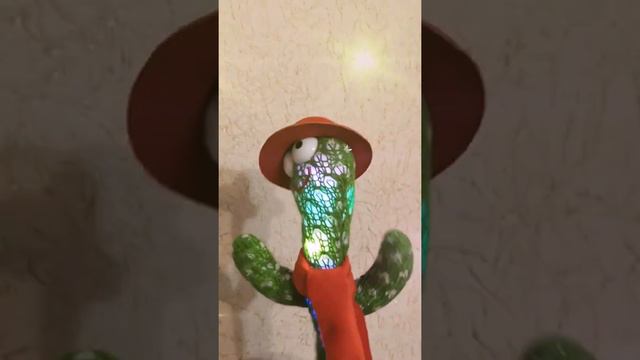 Танцующий Кактус / Dancer Cactus