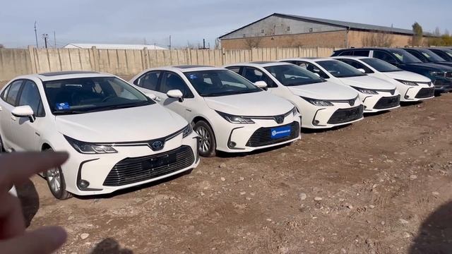 Авто из Китая. Обзор Hyundai Elantra или Toyota Corolla Hybrid. Китайсий Кореец против Японца. смотреть онлайн