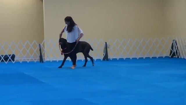 Jenn & Terra Stole the Show смотреть онлайн