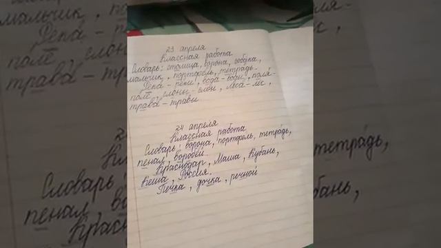 Русский язык.1 класс. Орфограммы. смотреть онлайн