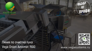 Линия для очистки лука от шелухи Vega Onion Avtomat 1500 | Обзор от профи